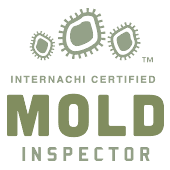 Mold Testing 2