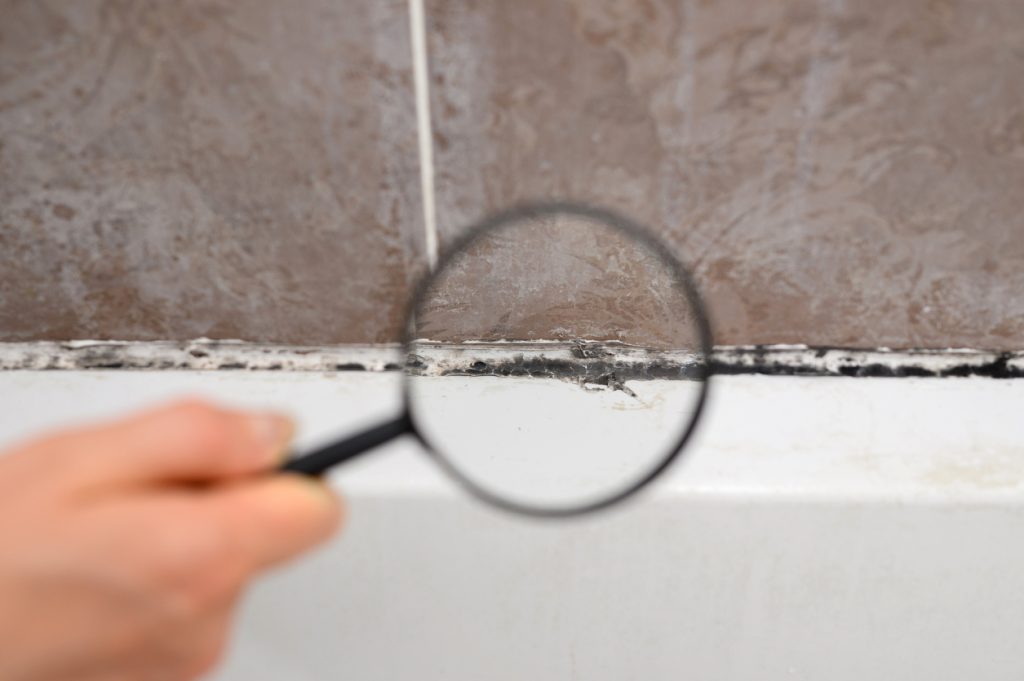 Mold Testing 1